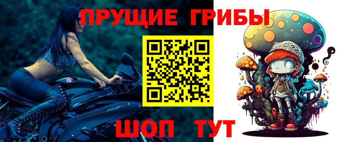 Псилоцибиновые грибы Psilocybine cubensis  Галлюциногенные грибы MAGIC MUSHROOMS  Гусев  Вход с VPN 