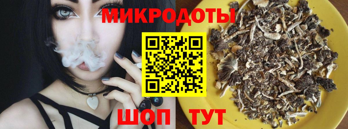 Галлюциногенные грибы Psilocybine cubensis Гусев